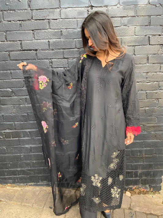 Cotton suit with Trouser & Organza Dupatta